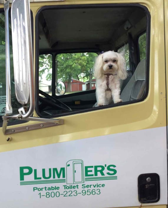 Plumbers Portable Toilets Allegan, MI Mascot